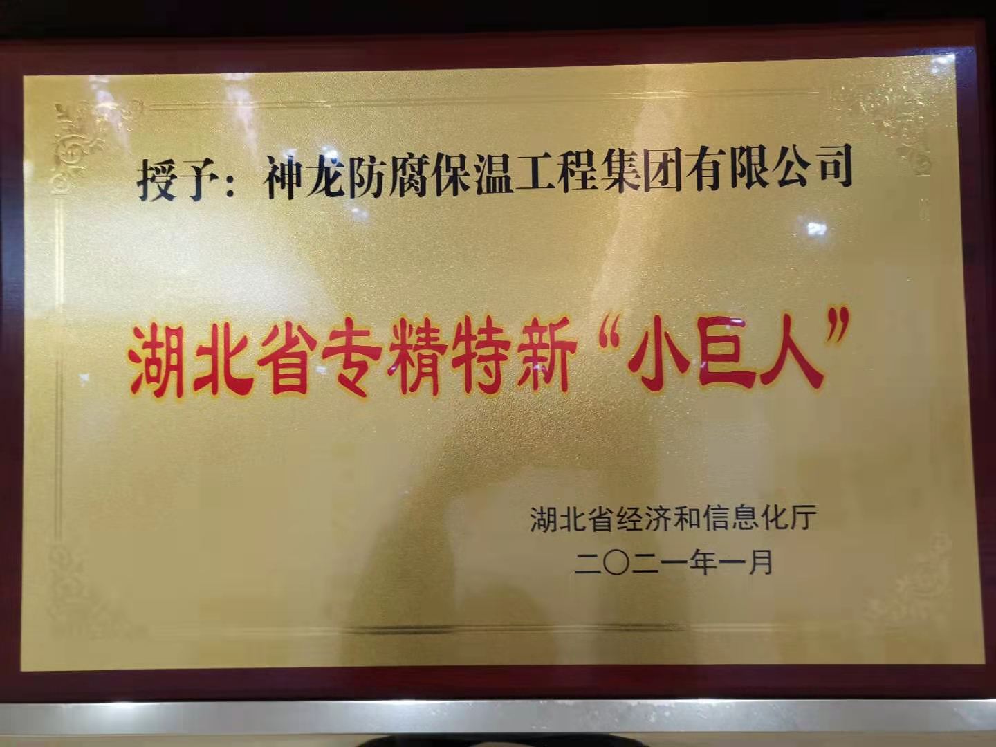 2021年湖北省專精特新小巨人獎(jiǎng)